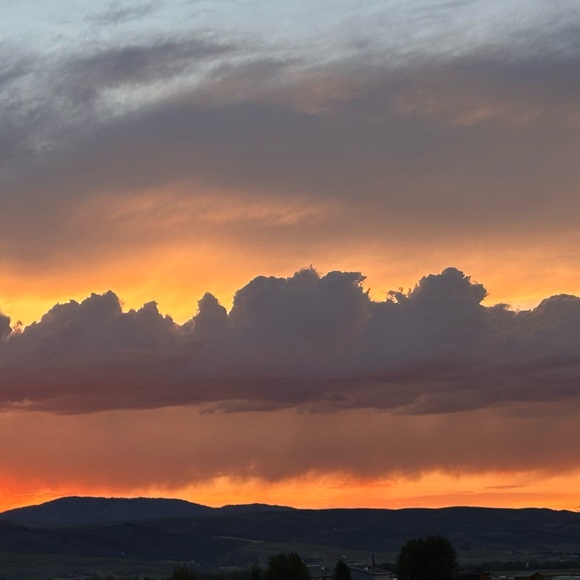 Meet your Posher, Ashley - Picture 1 of 1